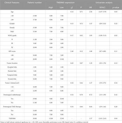 The new oncogene transmembrane protein 60 is a potential therapeutic target in glioma